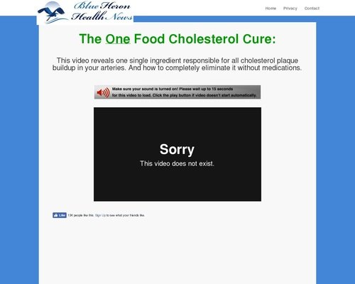 High Cholesterol High Cholesterol